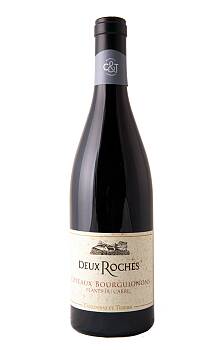 Deux Roches Coteaux Bourguignons Plants du Carre