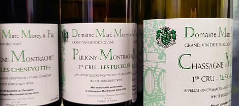 Nyheter polet i mai: Så nært grand cru du kan komme - men uten å betale den prisen