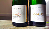 Sjelden 2014- og 2015-champagne fra Avize til super pris
