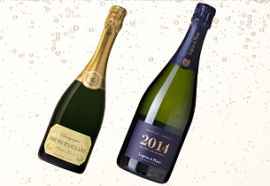 Mainyhetene i basis: Champagnefest i flere formater