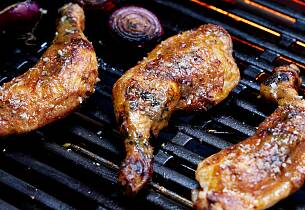 Matkurs: Bli sommerens grillmester