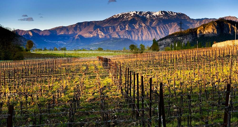 Ferietips for vinelskeren: Slik opplever du Franciacorta på to hjul