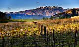 Ferietips for vinelskeren: Slik opplever du Franciacorta på to hjul
