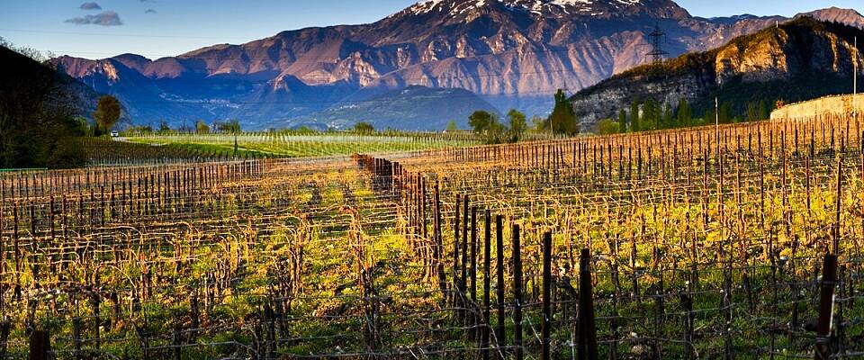 Ferietips for vinelskeren: Slik opplever du Franciacorta på to hjul