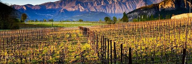 Ferietips for vinelskeren: Slik opplever du Franciacorta på to hjul