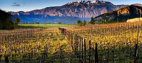 Ferietips for vinelskeren: Slik opplever du Franciacorta på to hjul