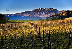 Ferietips for vinelskeren: Slik opplever du Franciacorta på to hjul