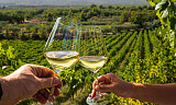 Lær mer om vin: hvitvin