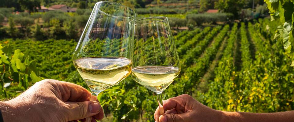 Lær mer om vin: hvitvin