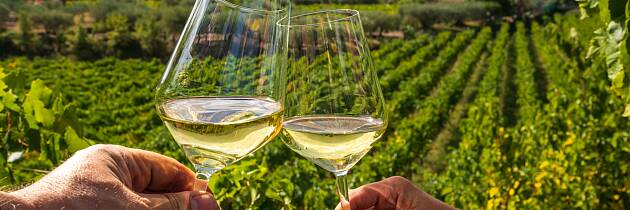 Lær mer om vin: hvitvin