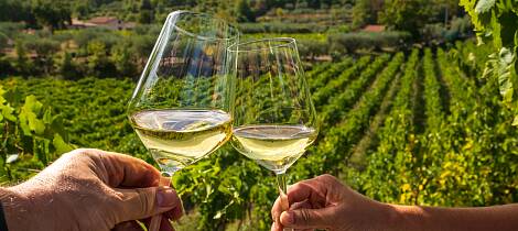 Lær mer om vin: hvitvin
