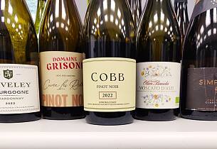 Pinot noir-kupp fra Sonoma Coast