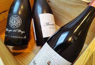 Skotte skaper magi i «ukjent» spansk vinområde