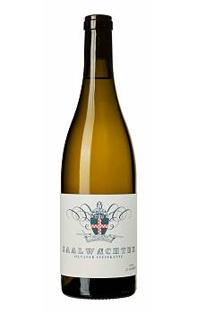 Saalwächter Steinkante Silvaner