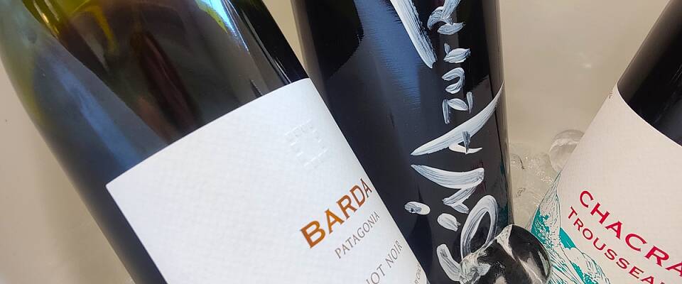 Sommerens saftigste pinot noir finnes på nesten alle pol