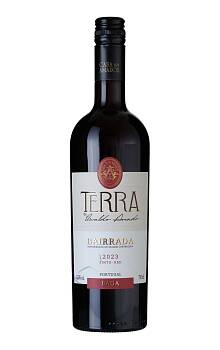 Terra by Osvaldo Amado Bairrada Baga