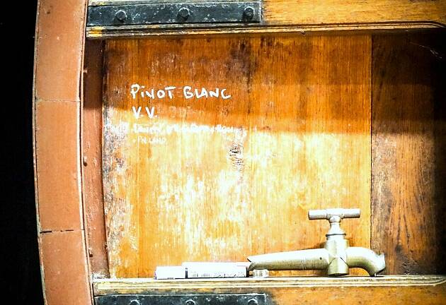 Alsace: Har pinot blanc premier-cru-potensial?