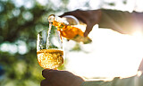 Naturvin vs klassisk vin: Skyttergravene fylles igjen