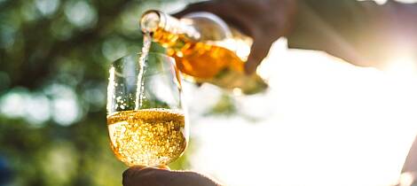 Naturvin vs klassisk vin: Skyttergravene fylles igjen