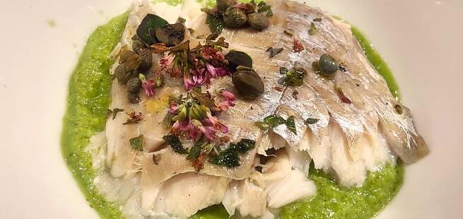 Ovnsbakt sei med salvie, kapers og oregano på grønn saus