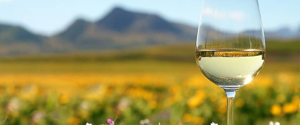 Smak hundrevis av viner på Rieslingmessen 2026