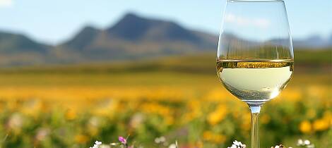 Smak hundrevis av viner på Rieslingmessen 2026