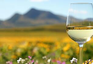 Rieslingmessen 2026 - Smak det beste av riesling på Gamle Logen