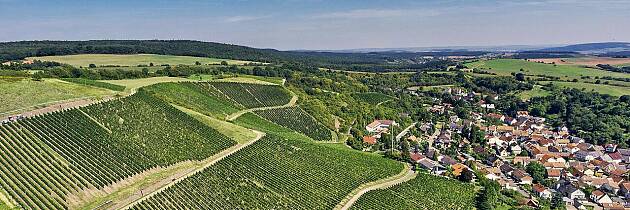 400 nye hvitviner: To strålende rieslinger stjeler oppmerksomheten - en kommer fra denne vinmarken