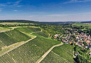 400 nye hvitviner: To strålende rieslinger stjeler oppmerksomheten - en kommer fra denne vinmarken