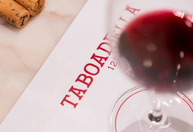 Ny favoritt fra Dão i Portugal som makser god vinvaluta