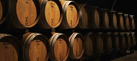 Nyt 10 fantastiske viner fra et av Italias mest ikoniske vinhus