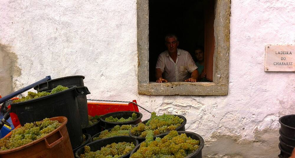 Lisboa har for godt kvittet seg med billigvinstempelet