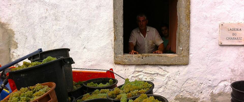 Lisboa har for godt kvittet seg med billigvinstempelet