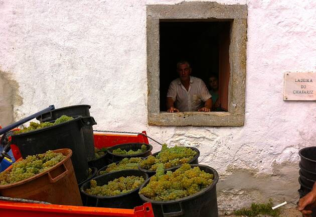 Lisboa har for godt kvittet seg med billigvinstempelet