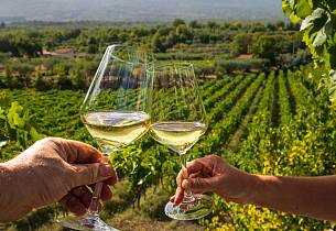 Smak legendariske franske viner