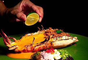 Le Du i Bangkok: Larver og biller som fine dining