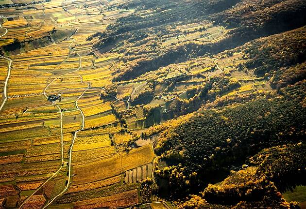 Det er lett å se hvorfor Thermenregion kalles Østerrikes Côte d'Or