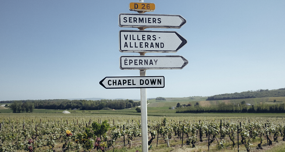 Opplev den engelske vinrevolusjonen med topp-produsent