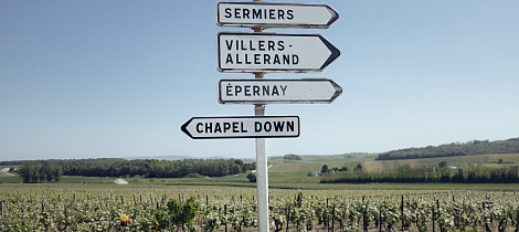 Opplev den engelske vinrevolusjonen med topp-produsent