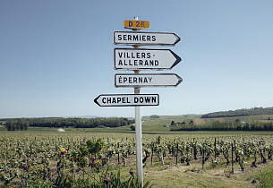 Opplev den engelske vinrevolusjonen med topp-produsent