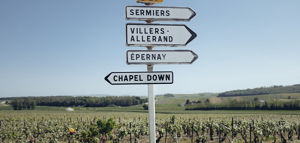 Opplev den engelske vinrevolusjonen med topp-produsent