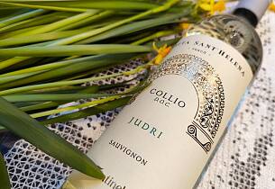 Få en ny smak av sauvignon blanc og det til en super pris