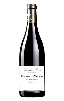 Bernard Rion Chambolle-Musigny Les Echézeaux