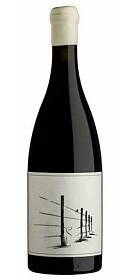 Savage Thief in the Night