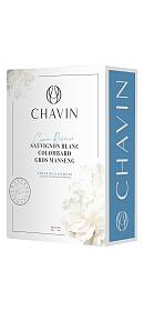 Pierre Chavin Côtes de Gascogne