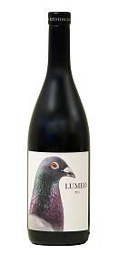 Oliviero Toscani Lumeo