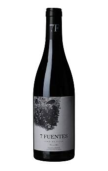 Suertes del Marqués 7 Fuentes Listán Negro
