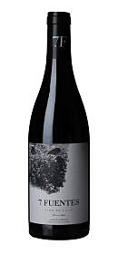 Suertes del Marqués 7 Fuentes