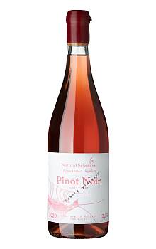 Gysler Single Vineyard Pinot Noir Rosé