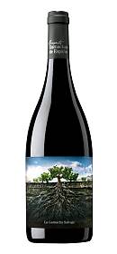 Proyecto Garnachas de España La Garnatxa Salvaje del Moncayo